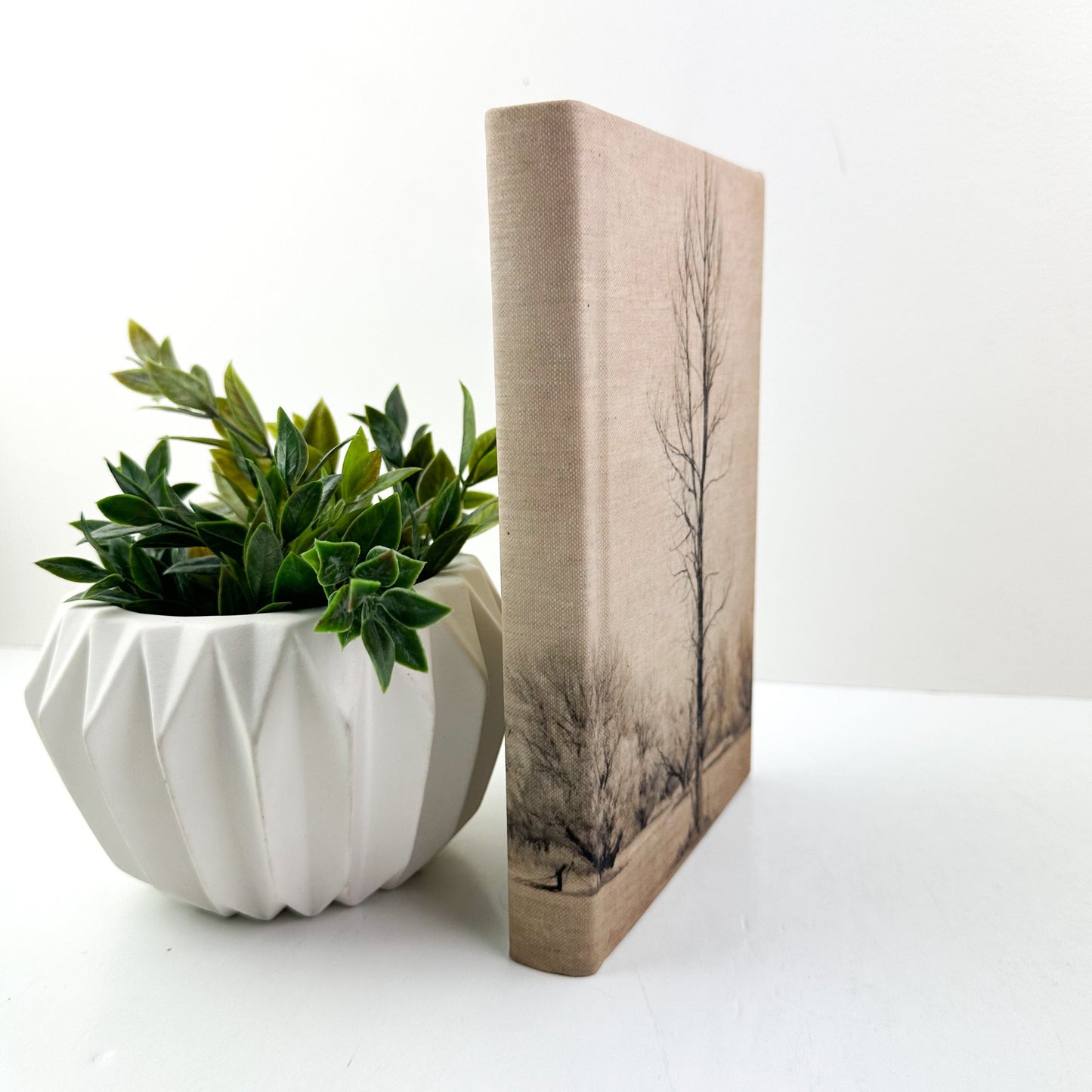 Motif Book- Aged Terrain