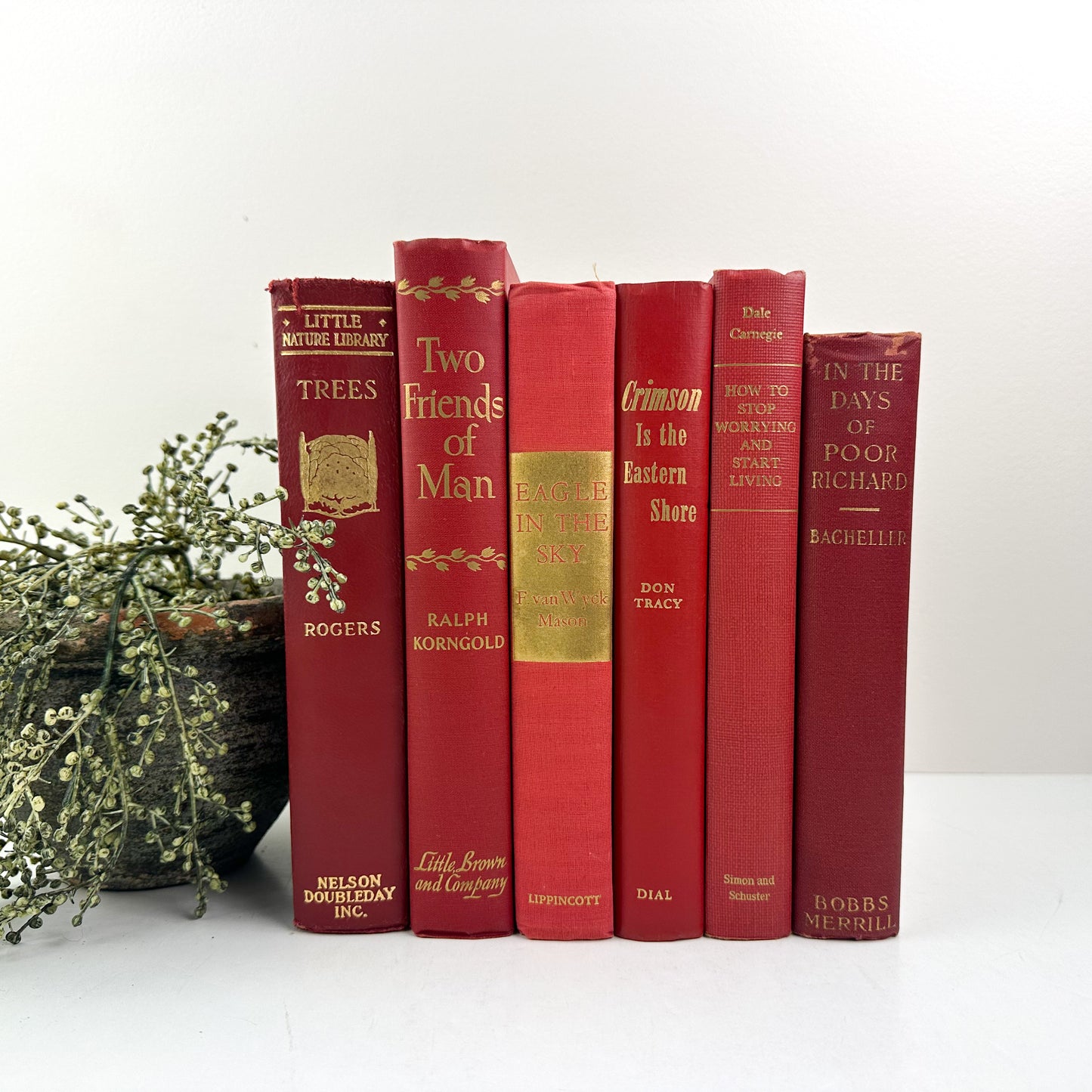 Red Shelf Accessories