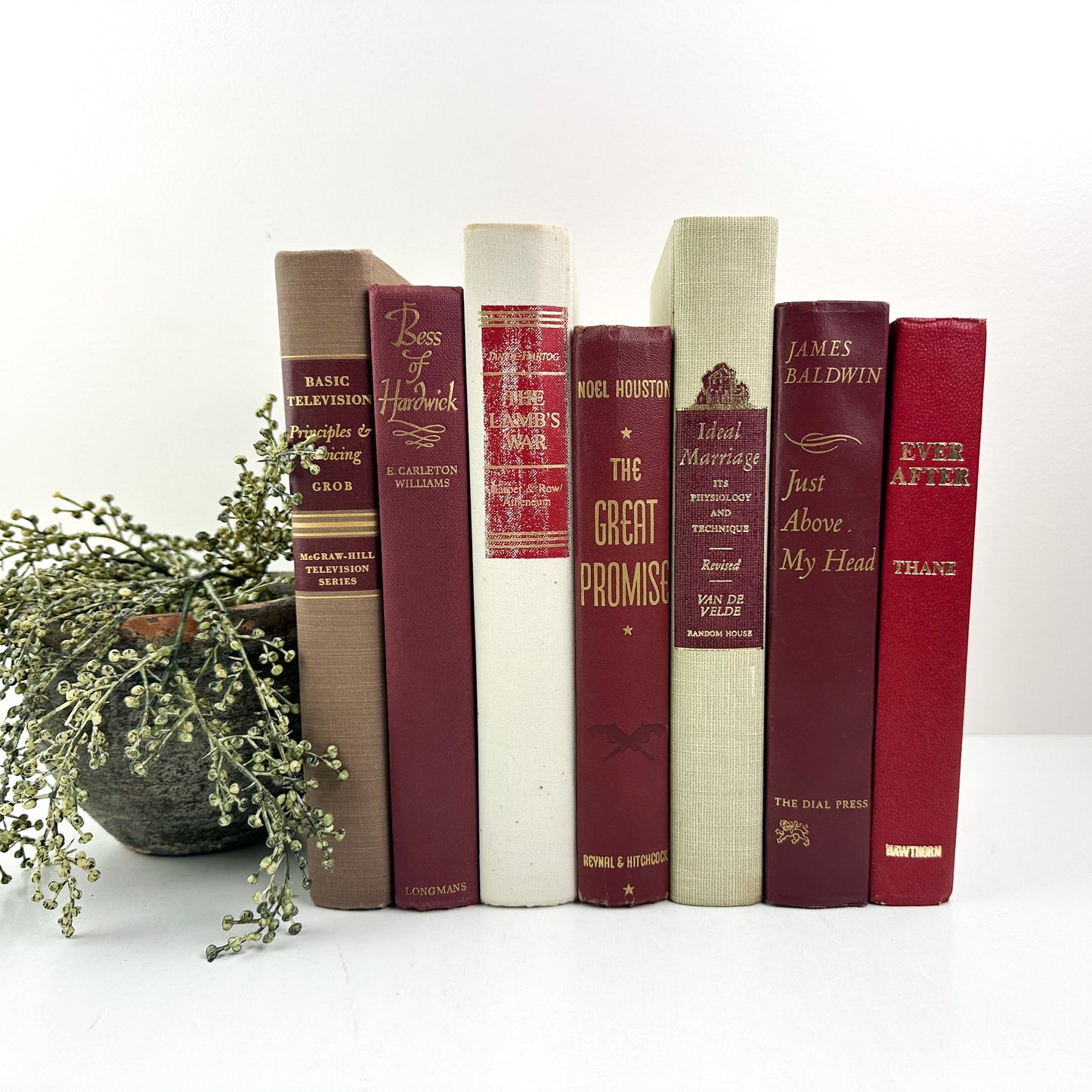 Maroon and Tan Books for Shelf Decor