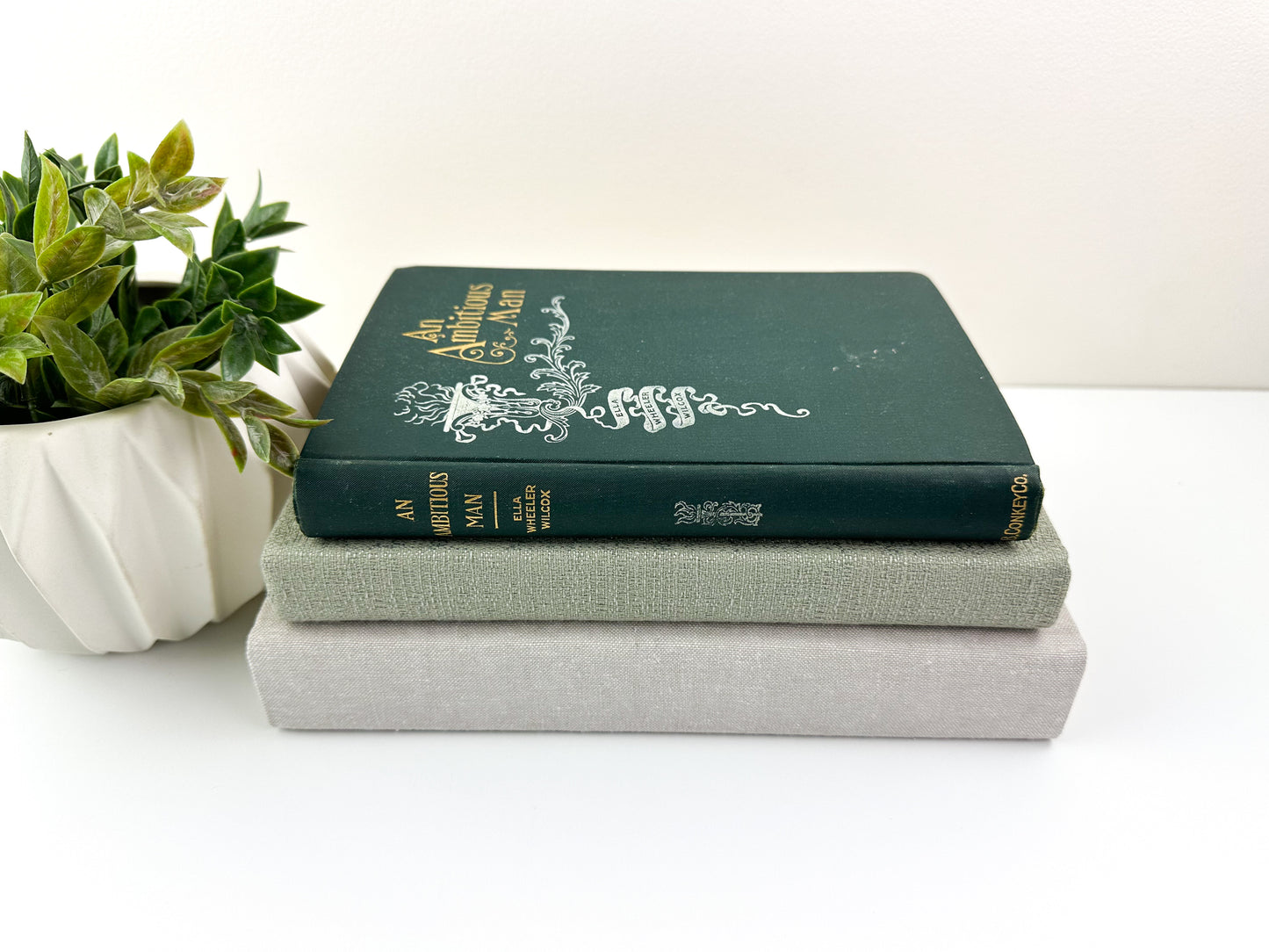 Books for Shelf Decor