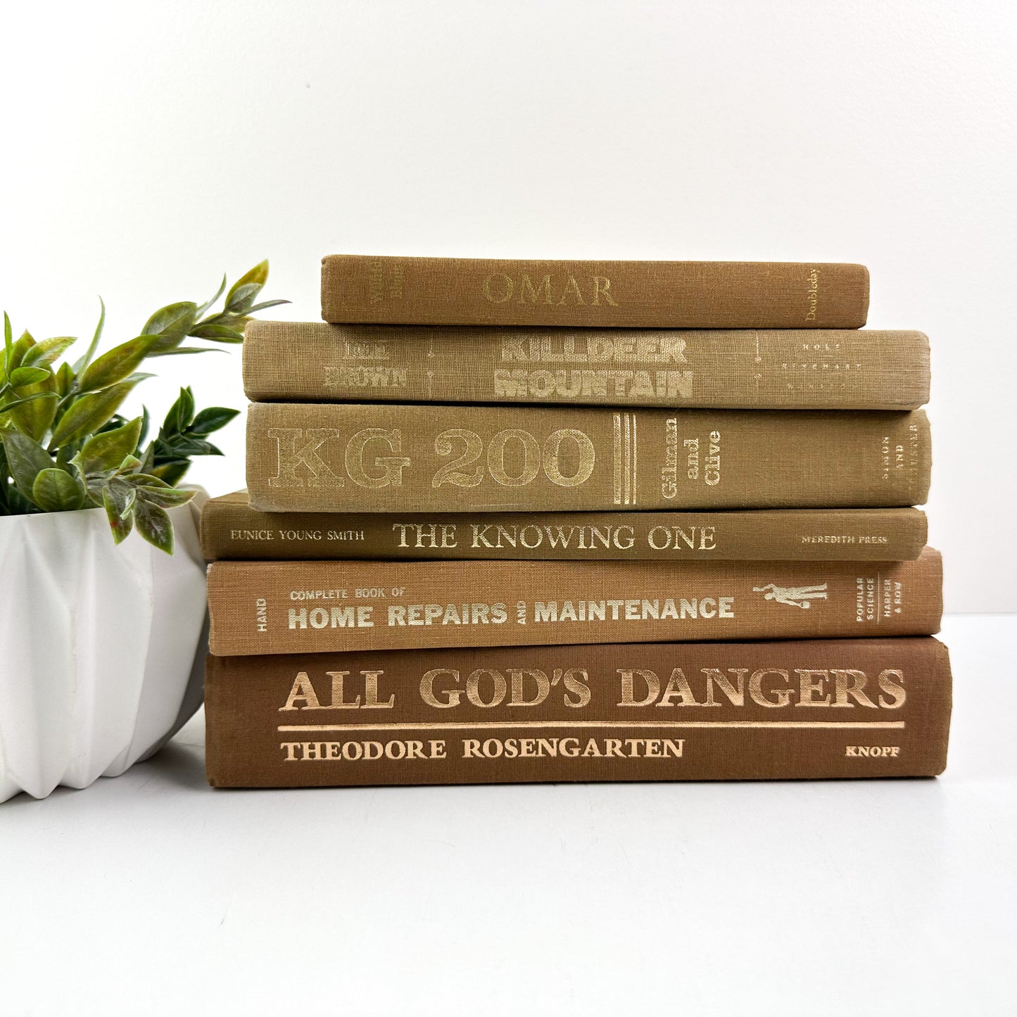 Decorative Book Set