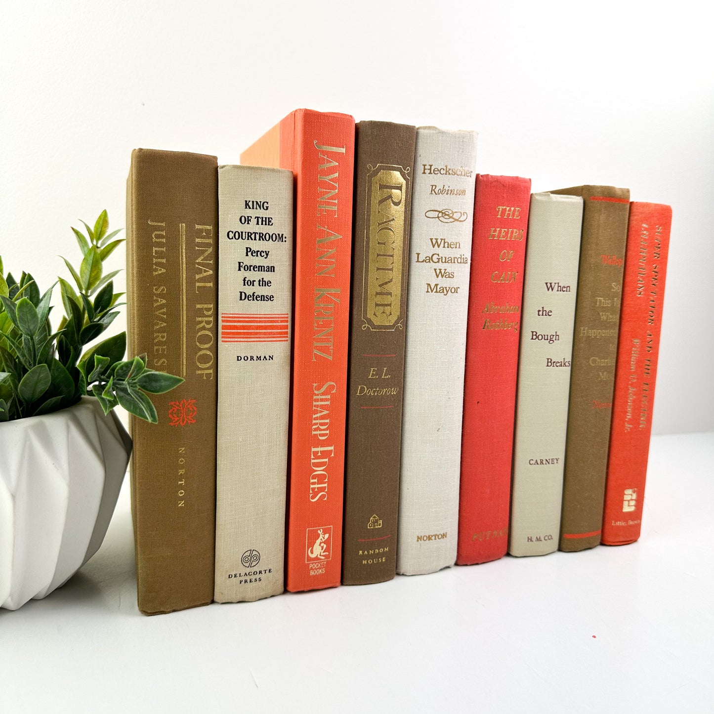 Decorative Book Set