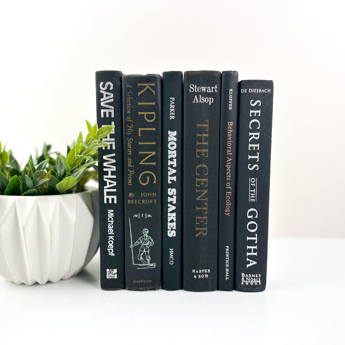 Set of Books