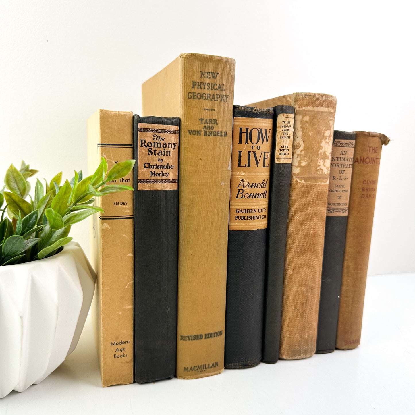 Black and Brown Books for Mantle Decor