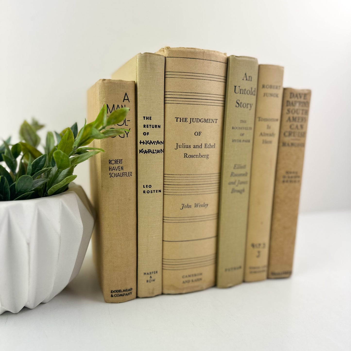 Cream and Blue Staging Books