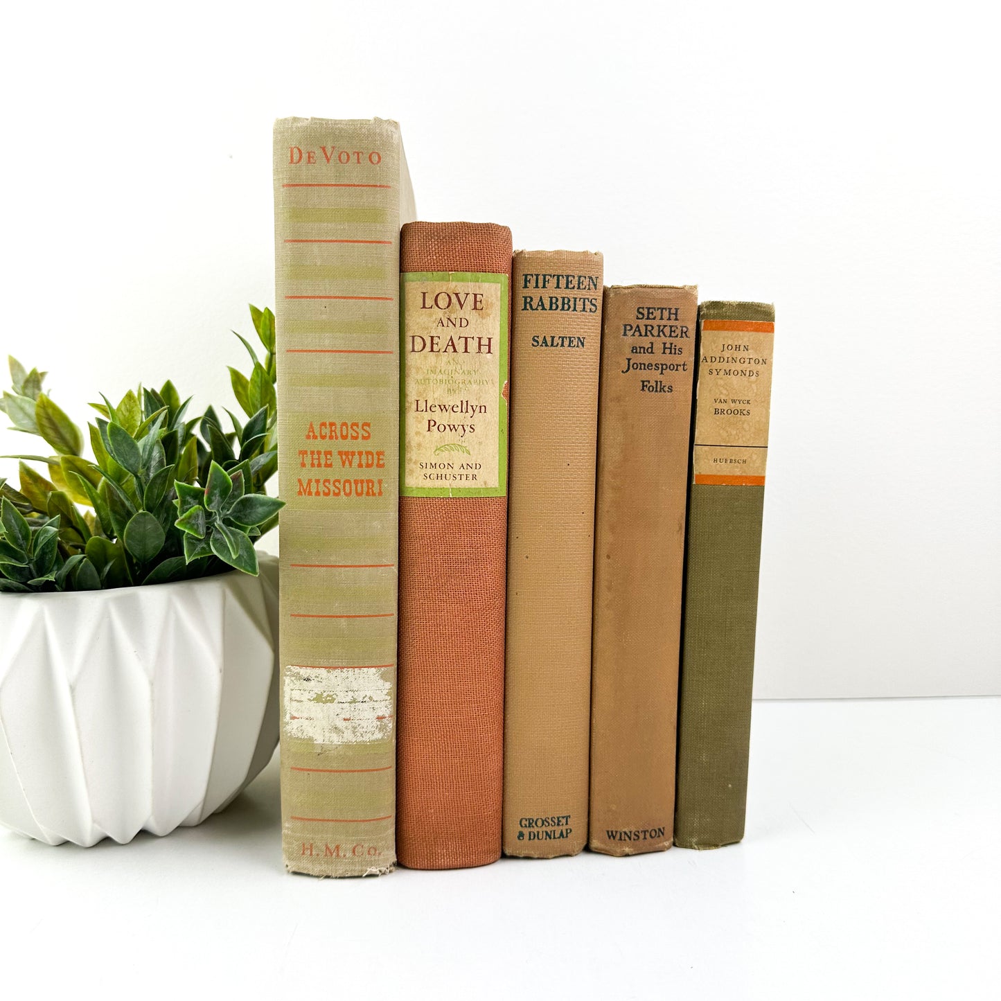 Vintage Book Set for Mantle Decor