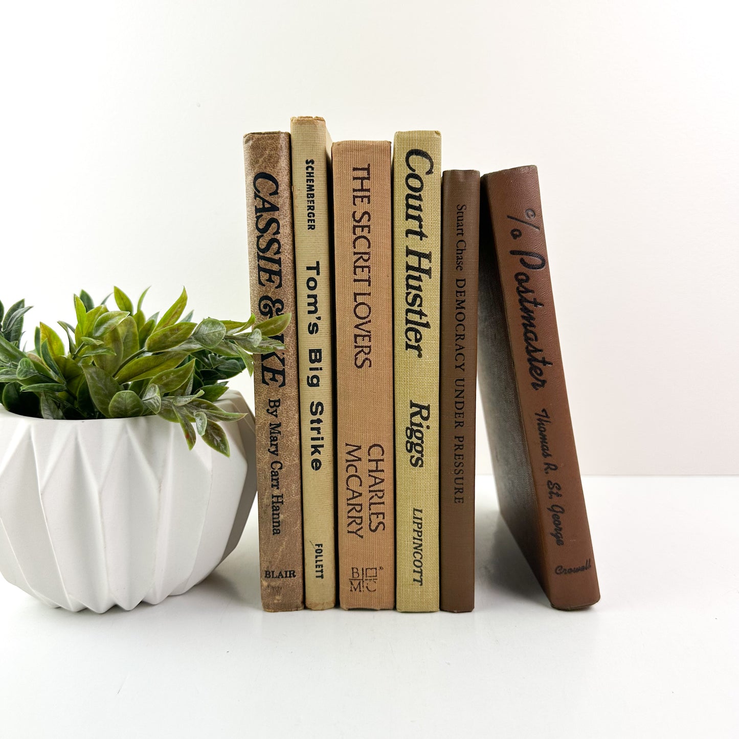 Decorative Book Set