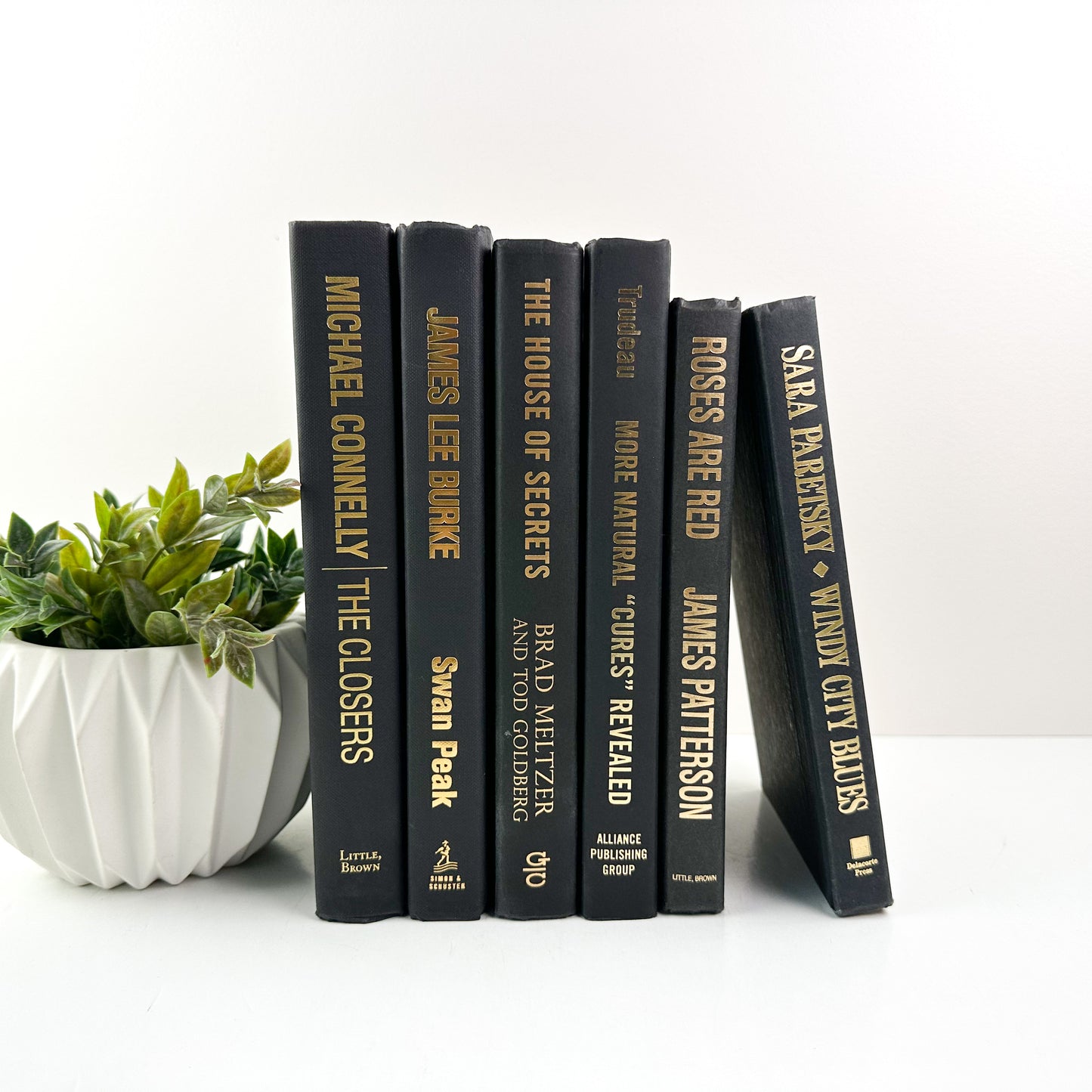 Modern Book Set for Home Decor