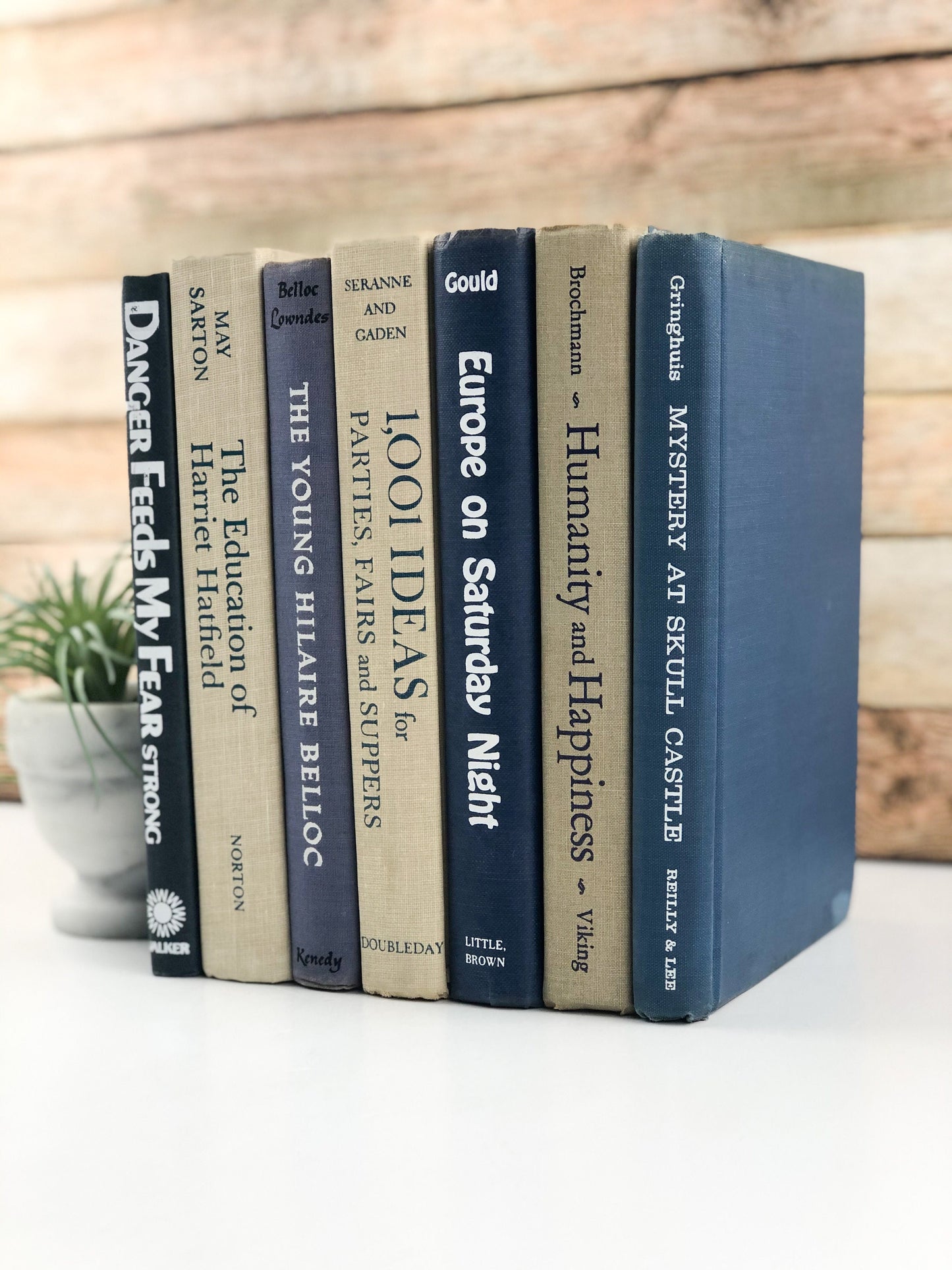 Books for Shelf Decor