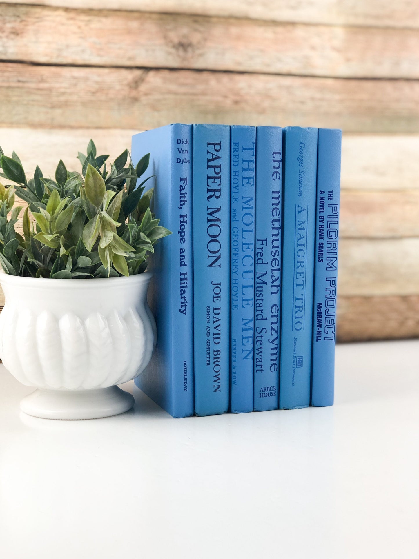 Decorative Book Set