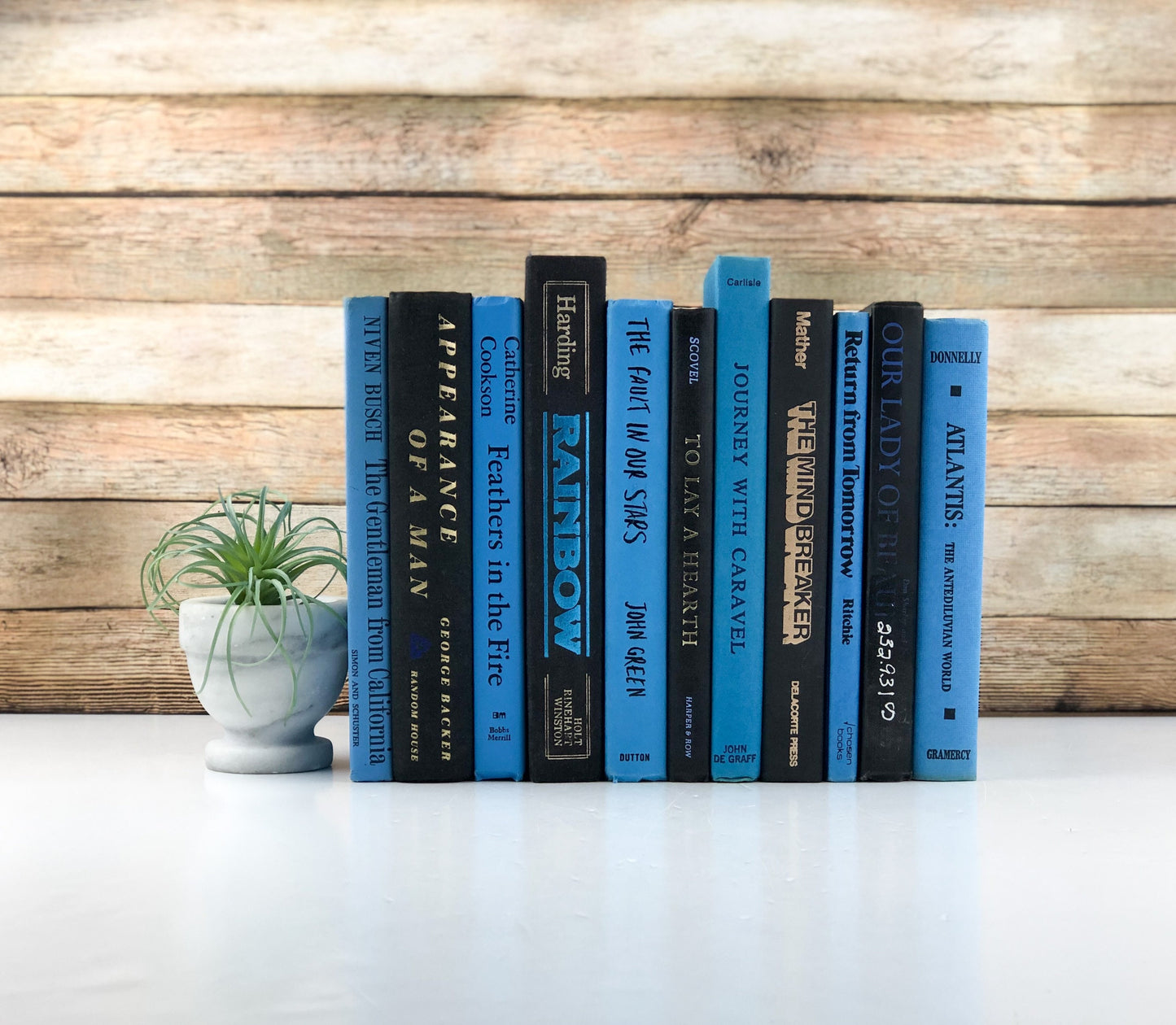 Blue and Black Vintage Decor