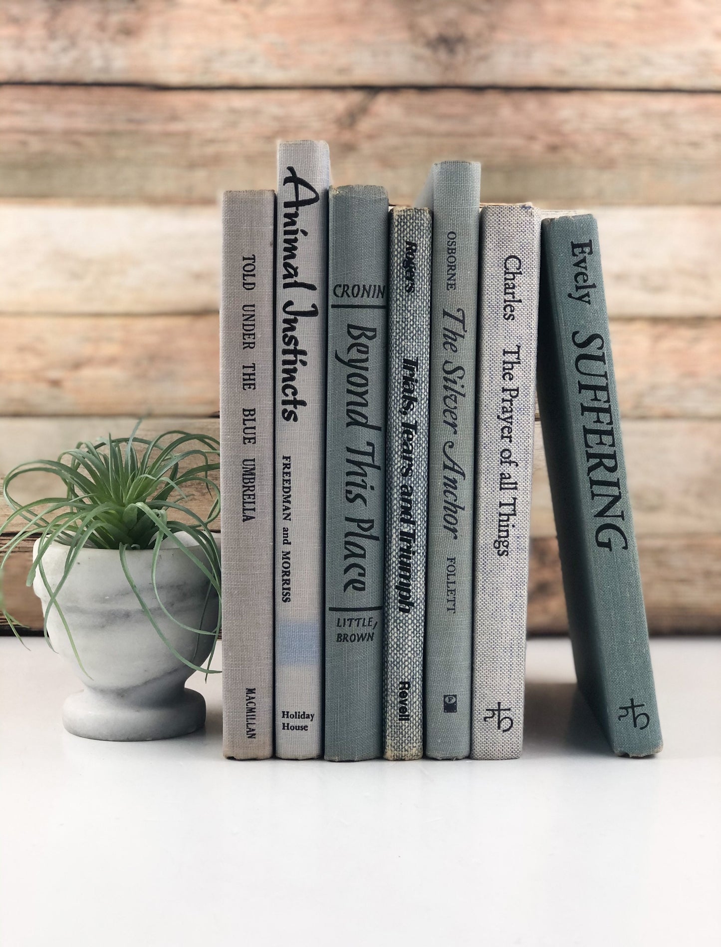 Books for Decor