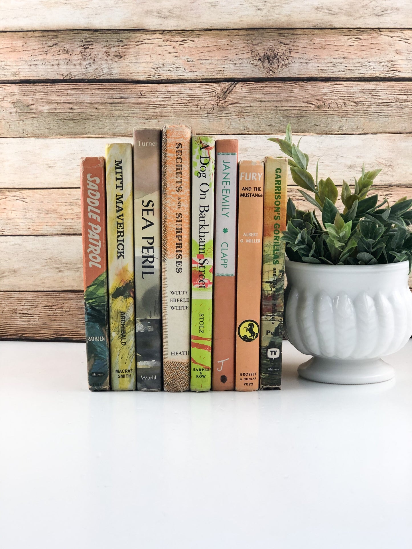 Shelf Decor