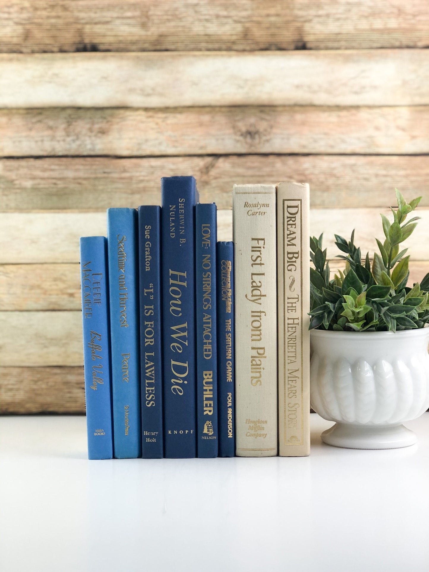Blue and Cream Book Bundle