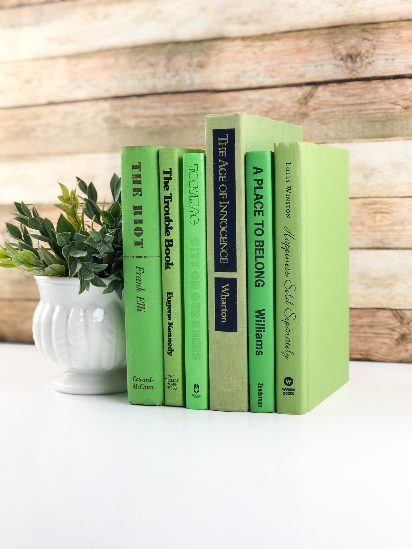 Shelf Decor / Decorative Books