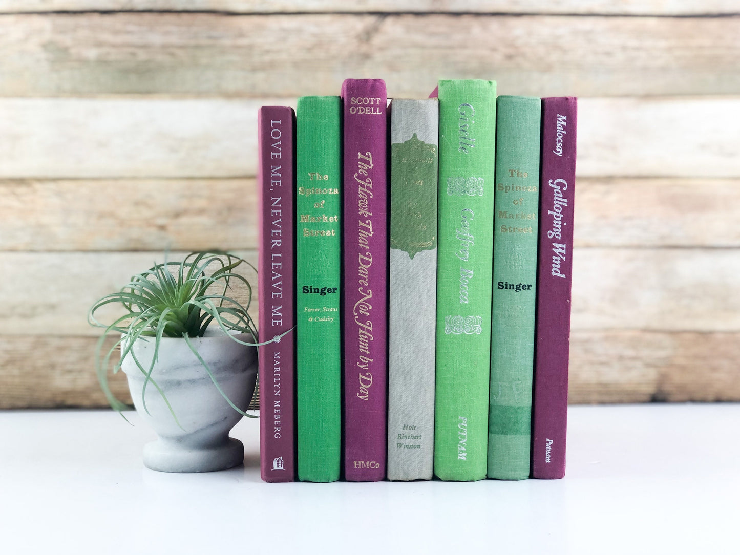 Bookshelf Decor