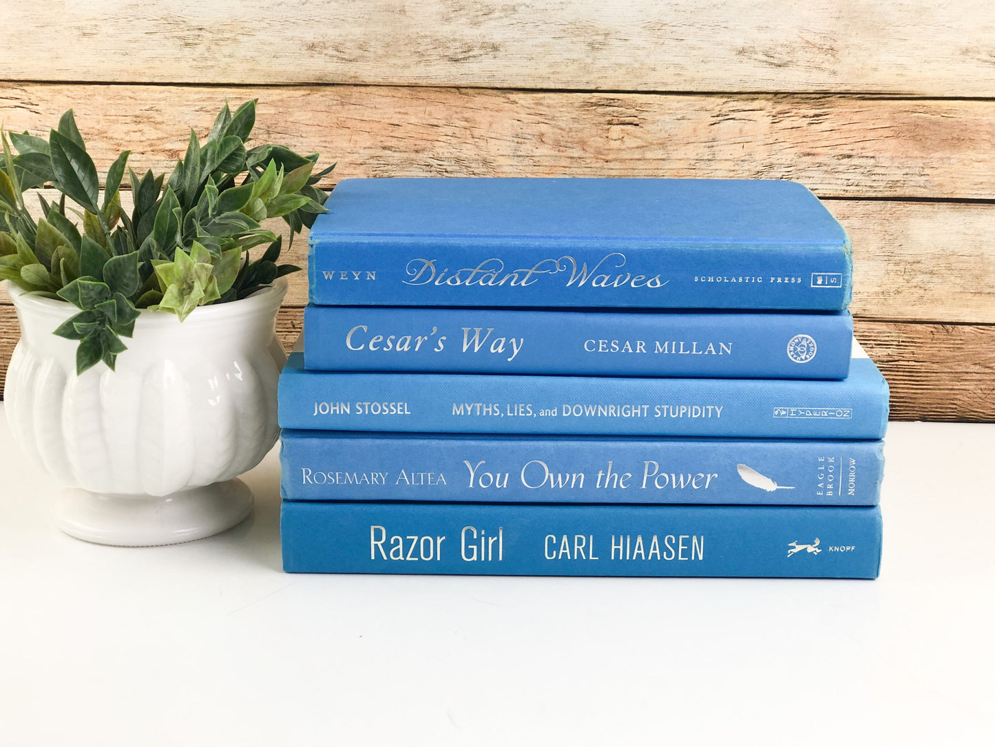 Sky Blue Decorative Book Set