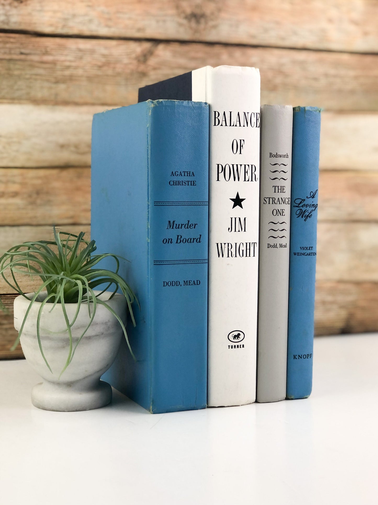 Blue and White Book Bundle