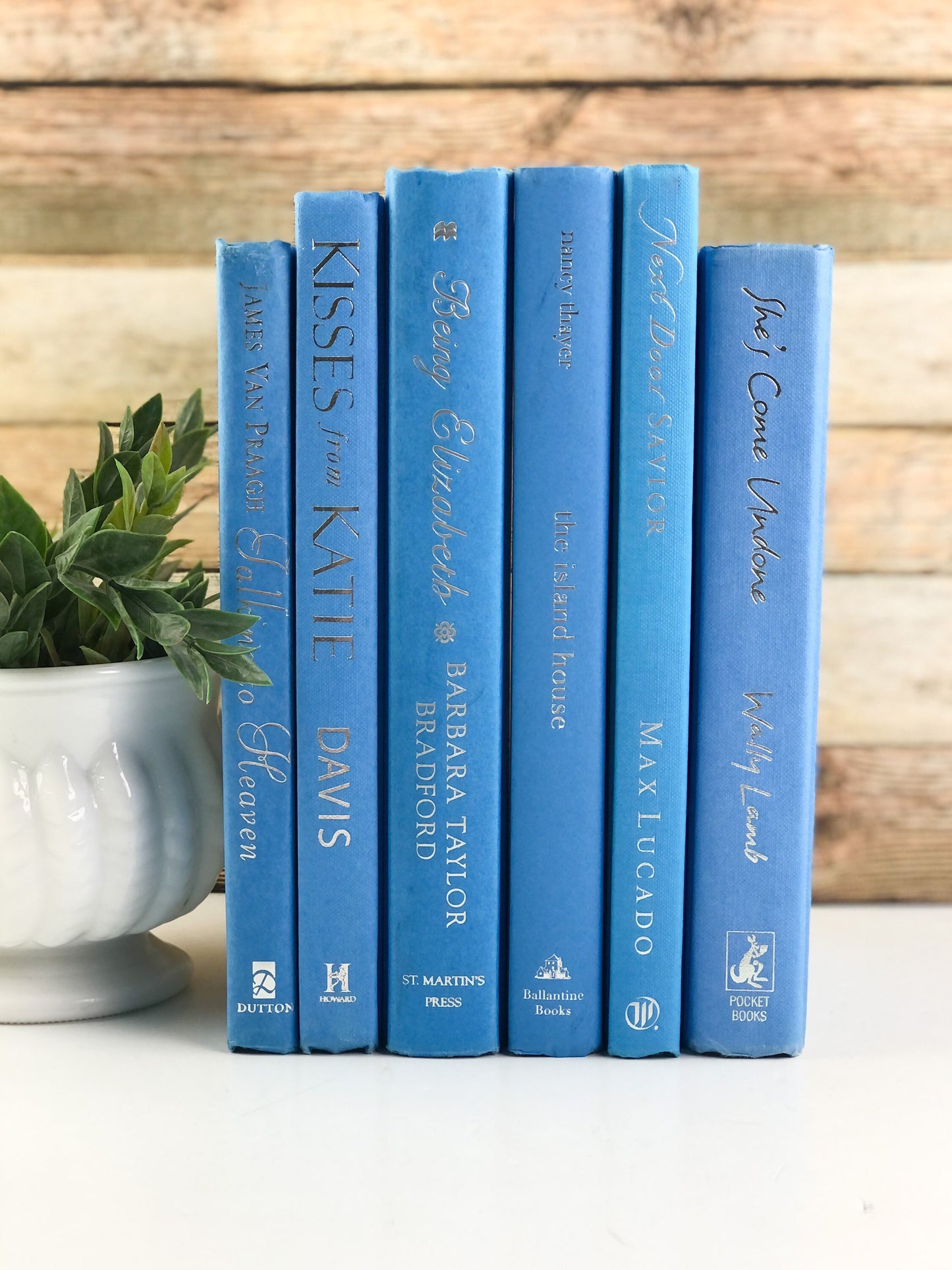 Sky Blue Book Bundles