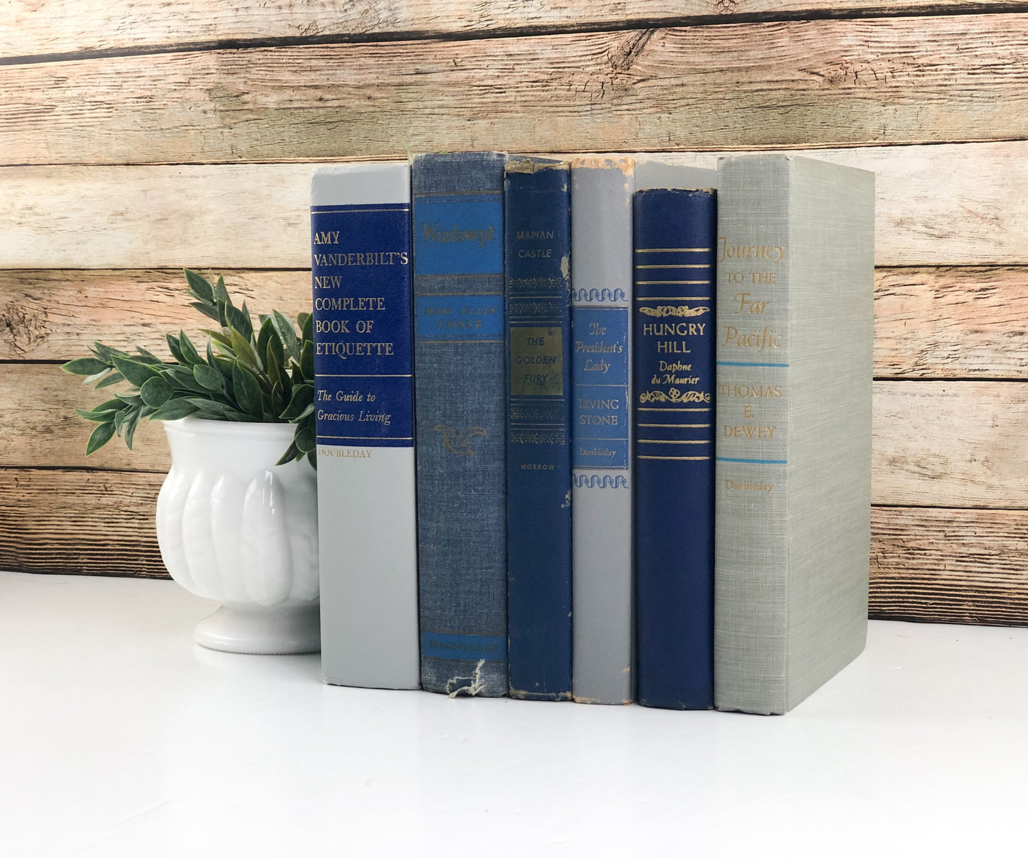 Blue and Gray Books for Decor