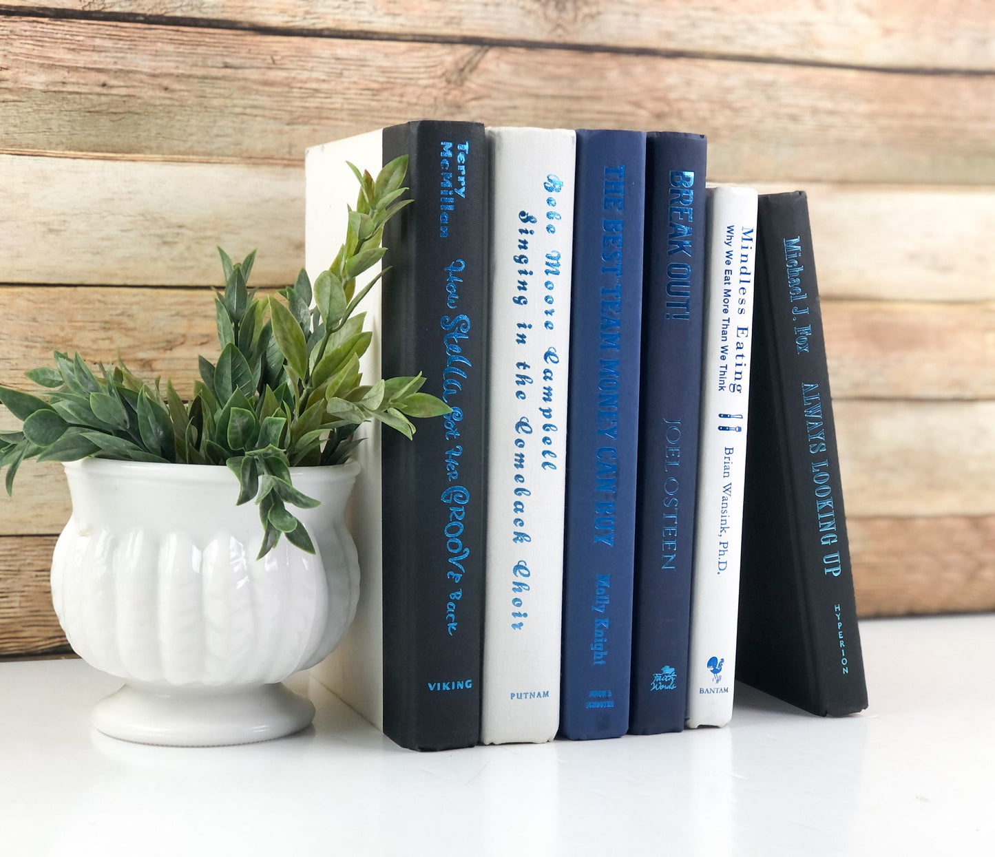 Blue Books for Shelf Decor