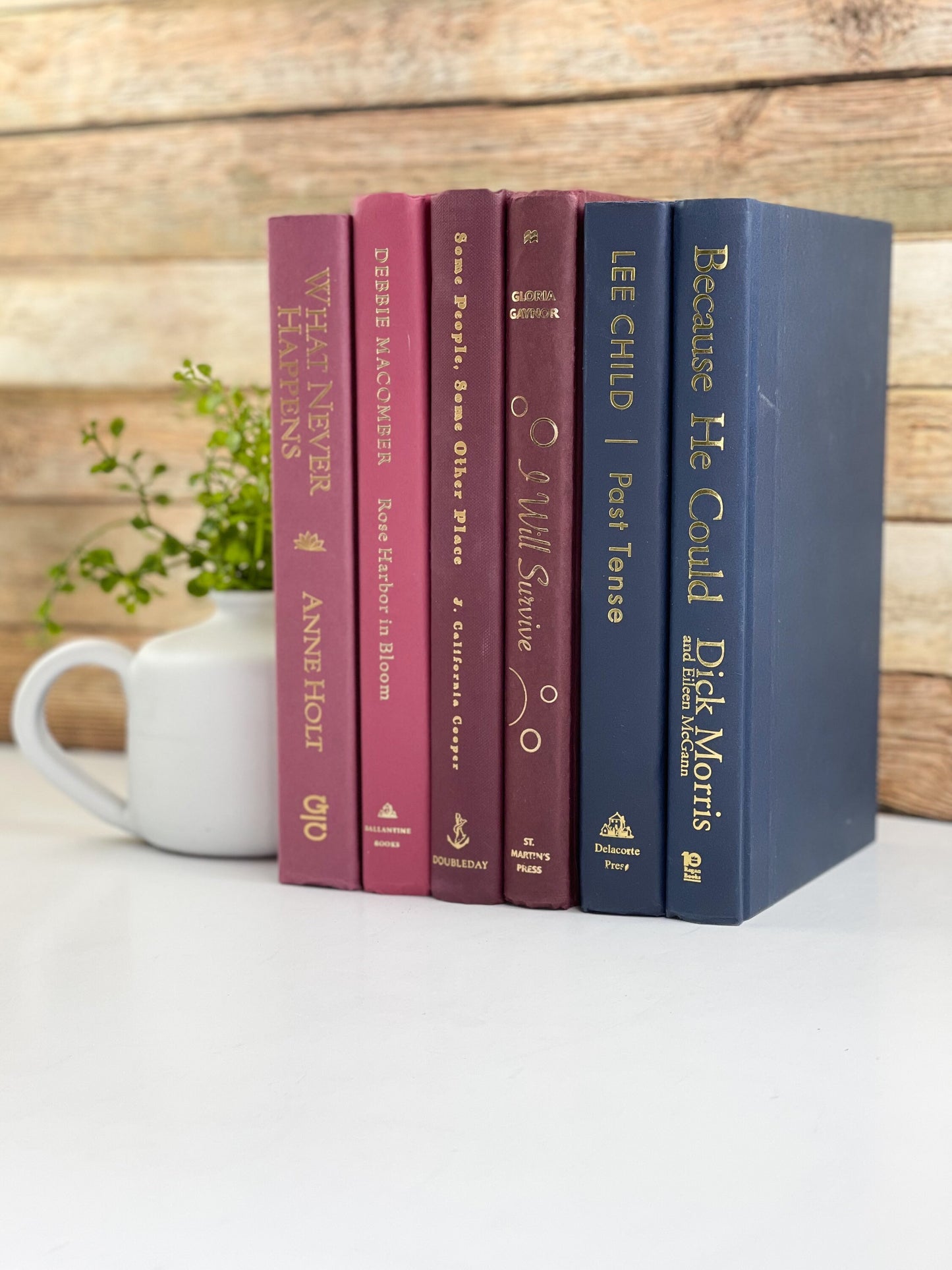 Red and Blue Bookshelf Decor