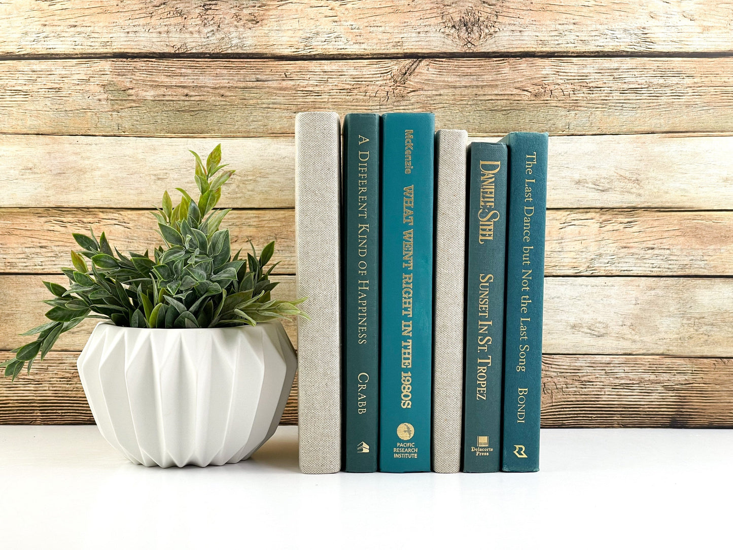 Decorative Books / Shelf Decor