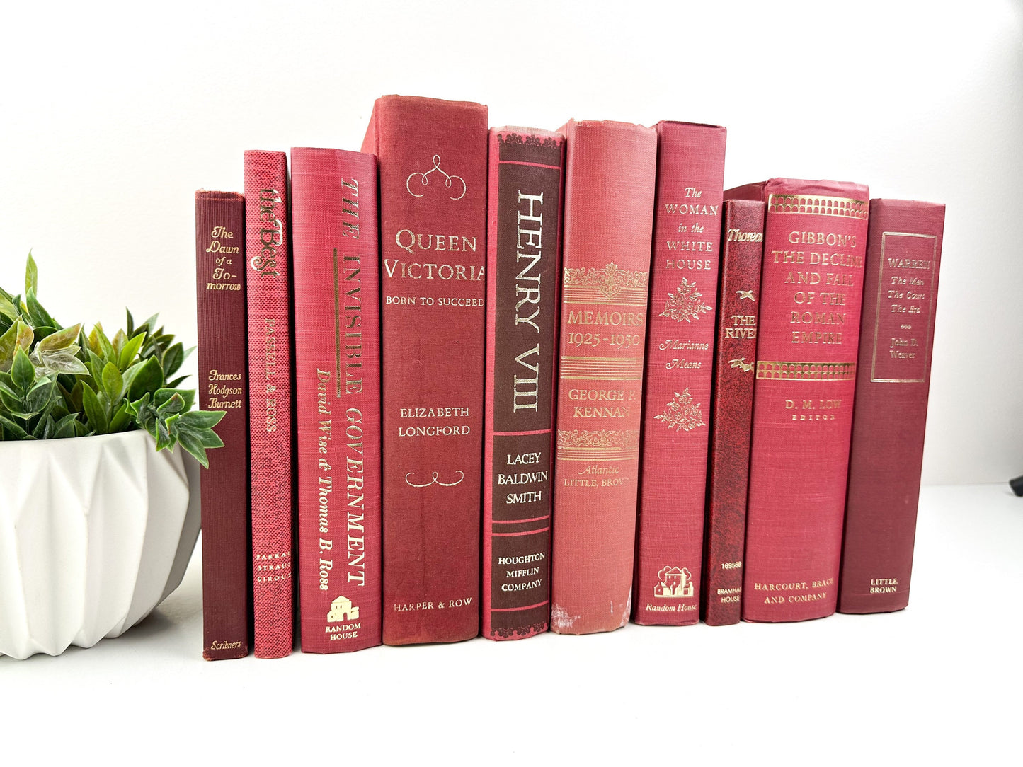 Shelf Decor