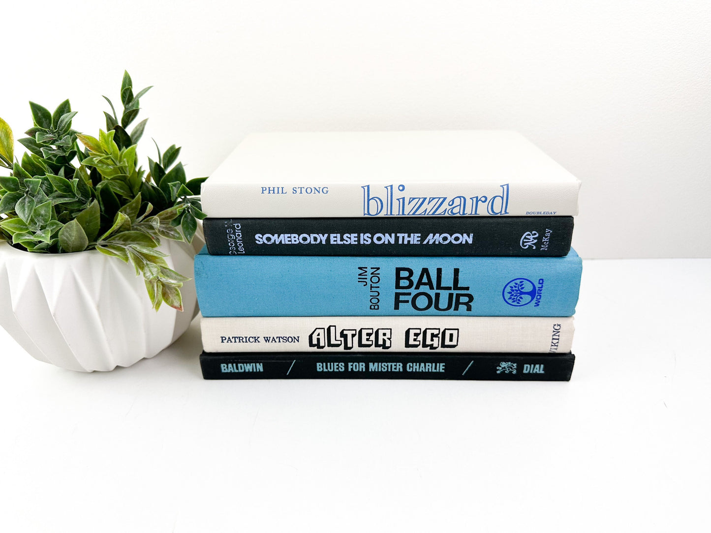 Book for Decoration