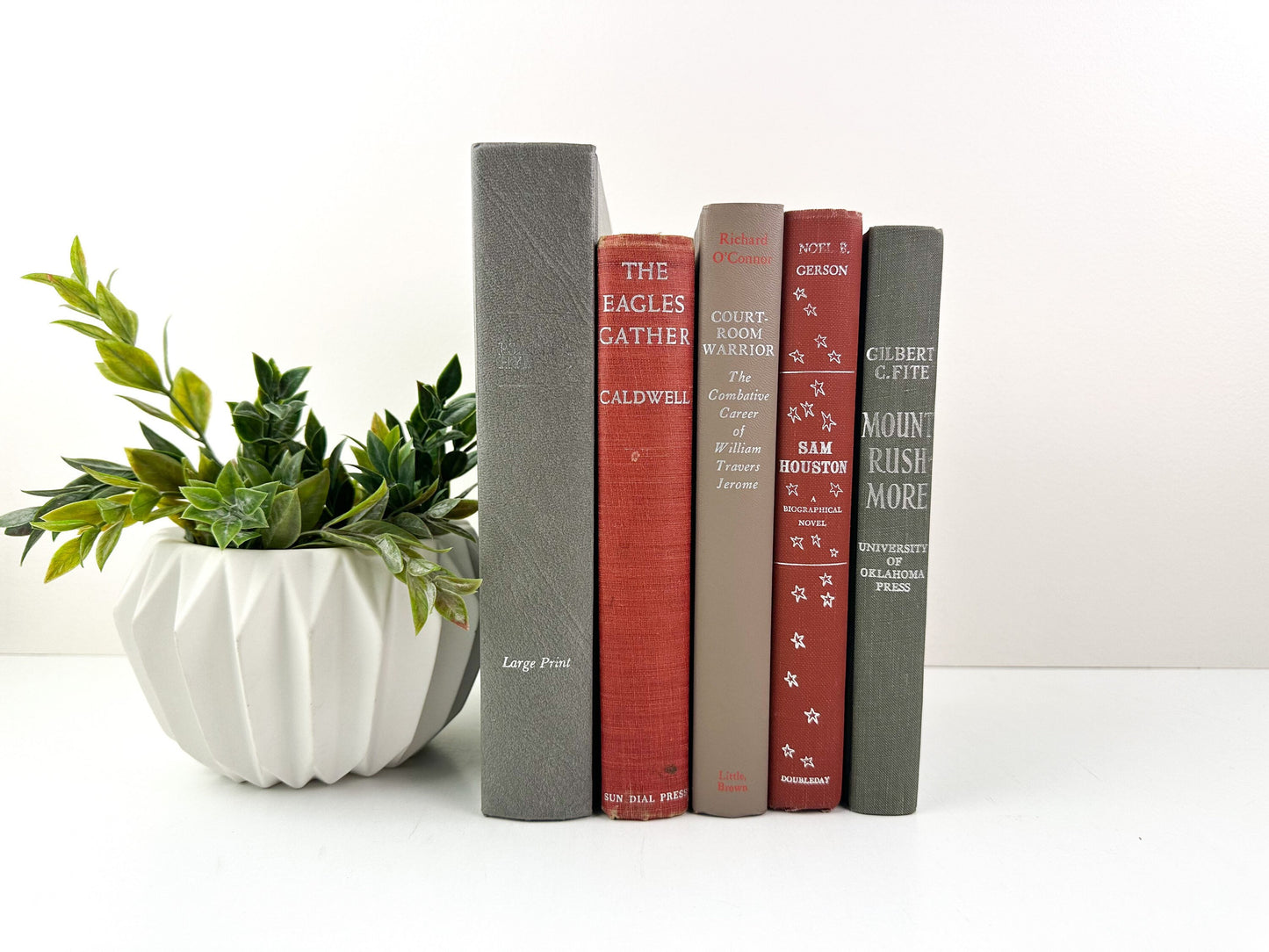 Book Bundle, Stack of Books for Shelf Decor, Shelf Accessories, Shelf Decor