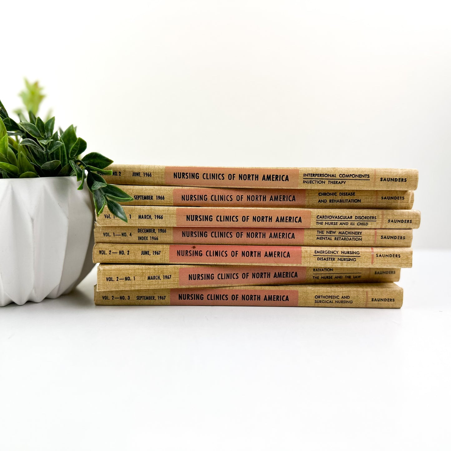Shelf Decor