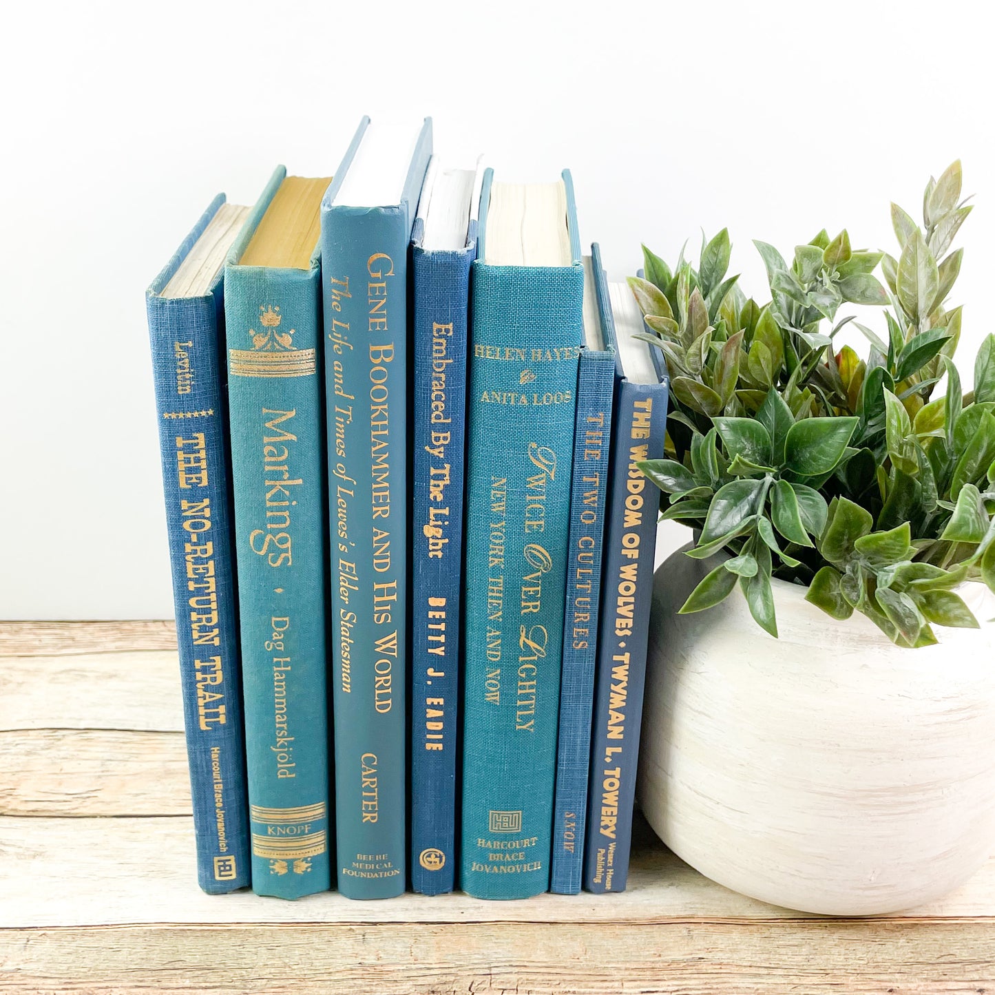 Modern Blue Books for Home Decor