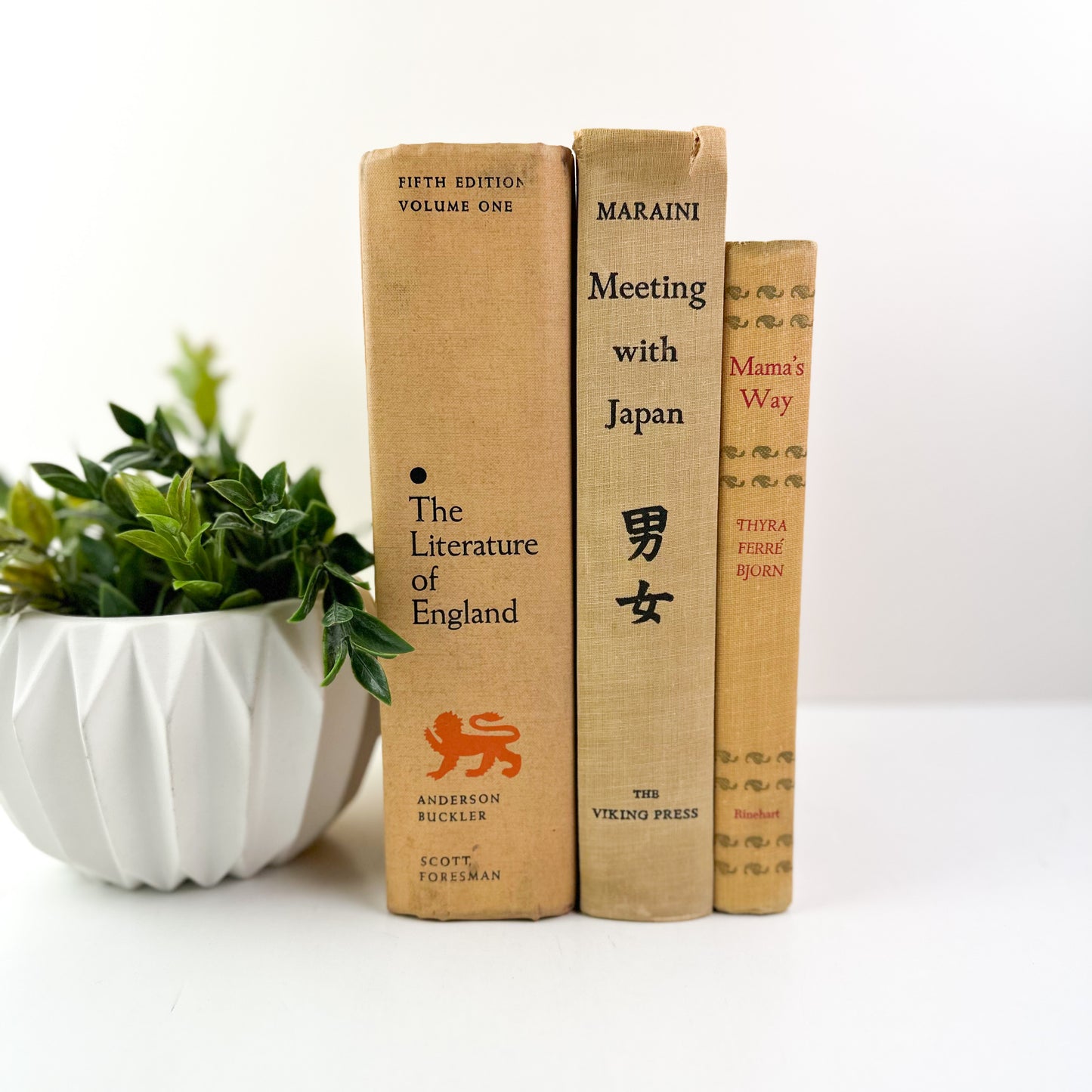 Orange Vintage Decor