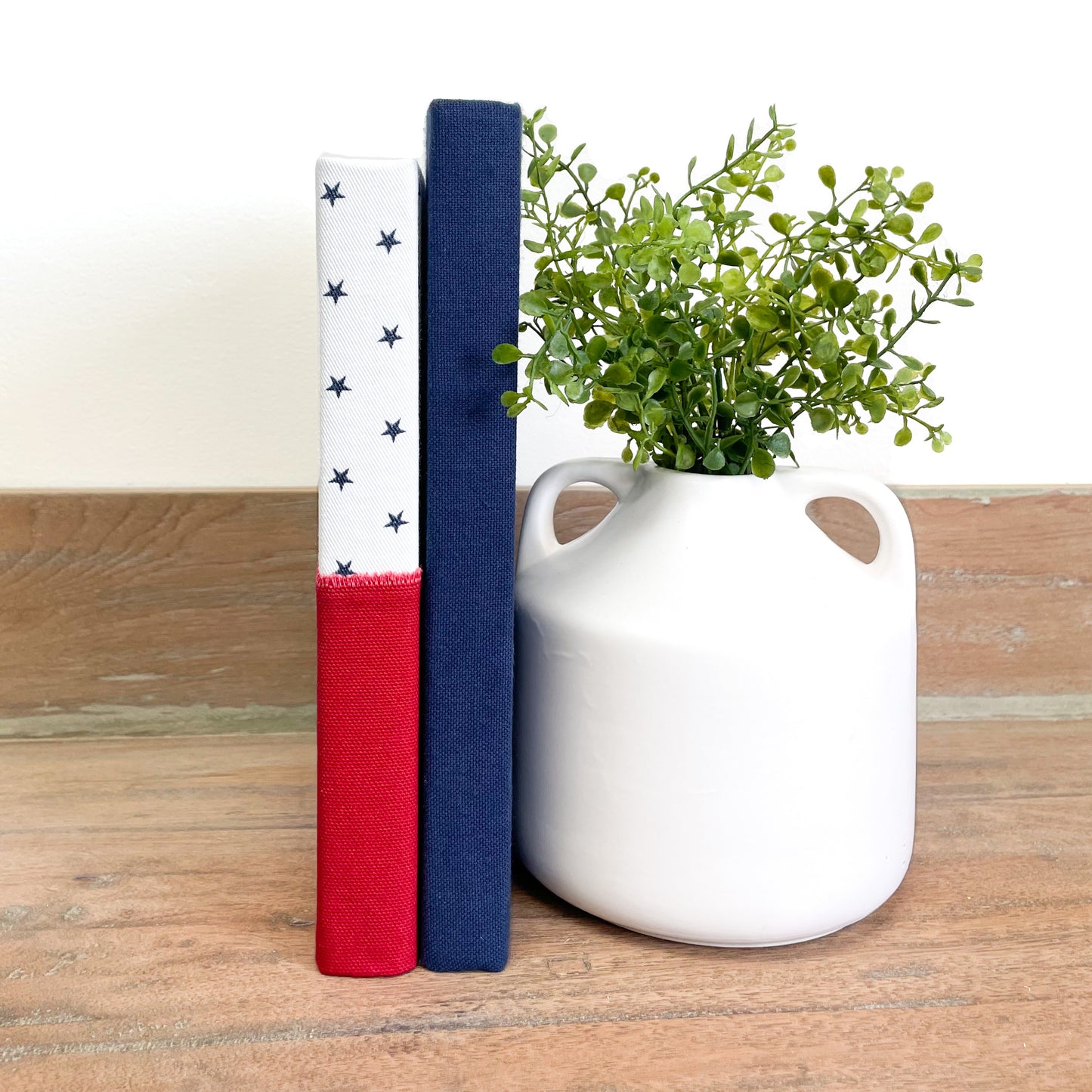 Red White and Blue Patriotic Book Set