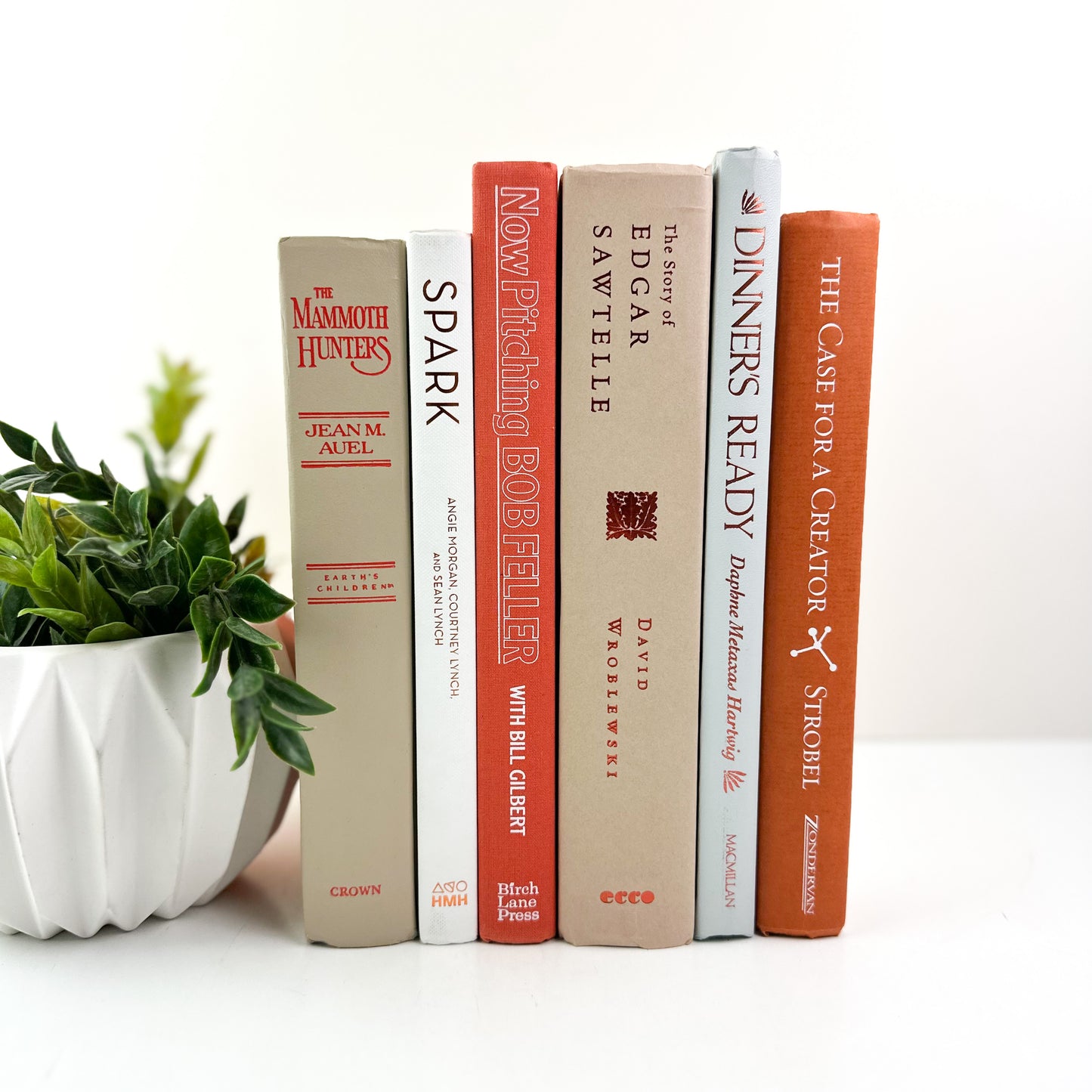 Books for Shelf Decor