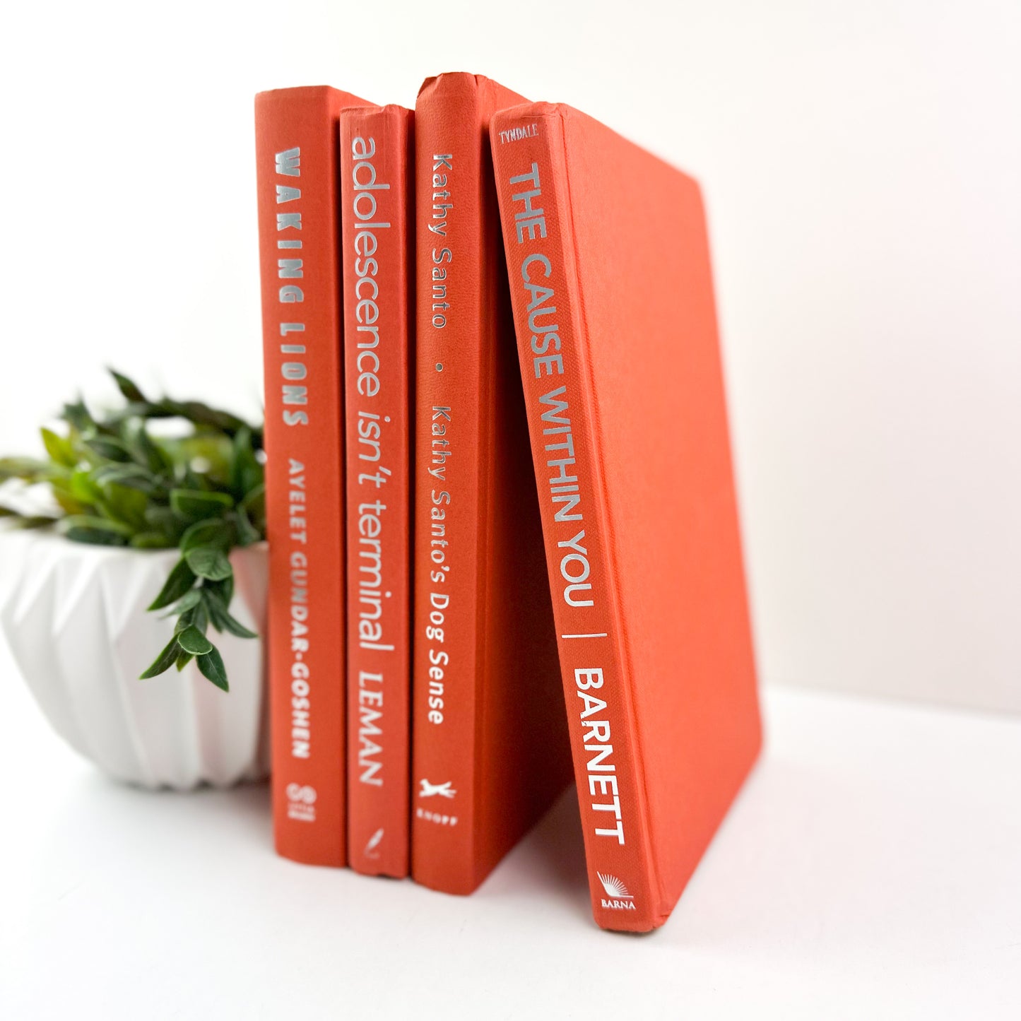 Books for Decoration