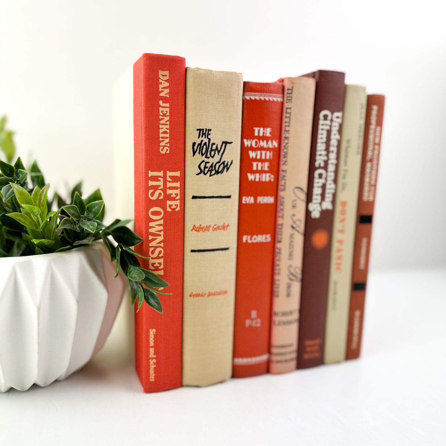 Orange and Brown Decor for Shelves