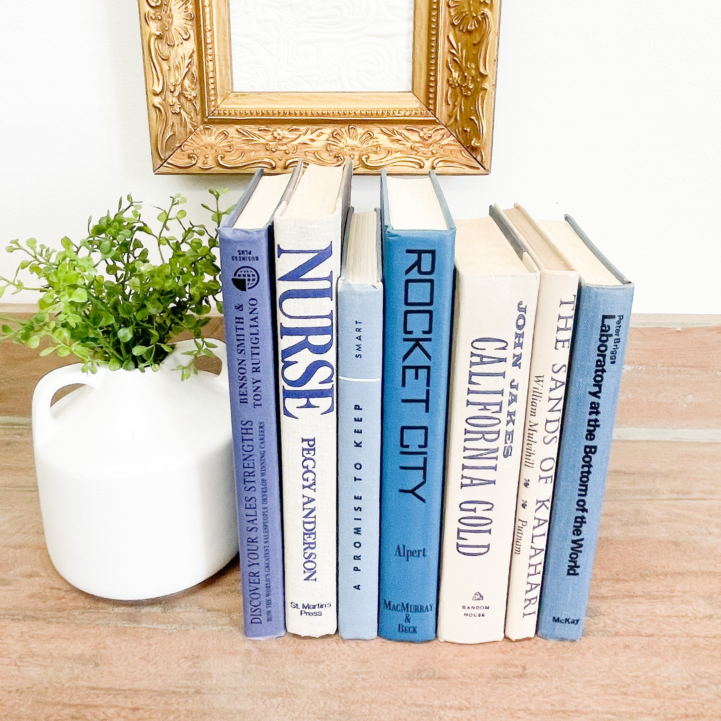 Blue and White Books for Shelf Decor