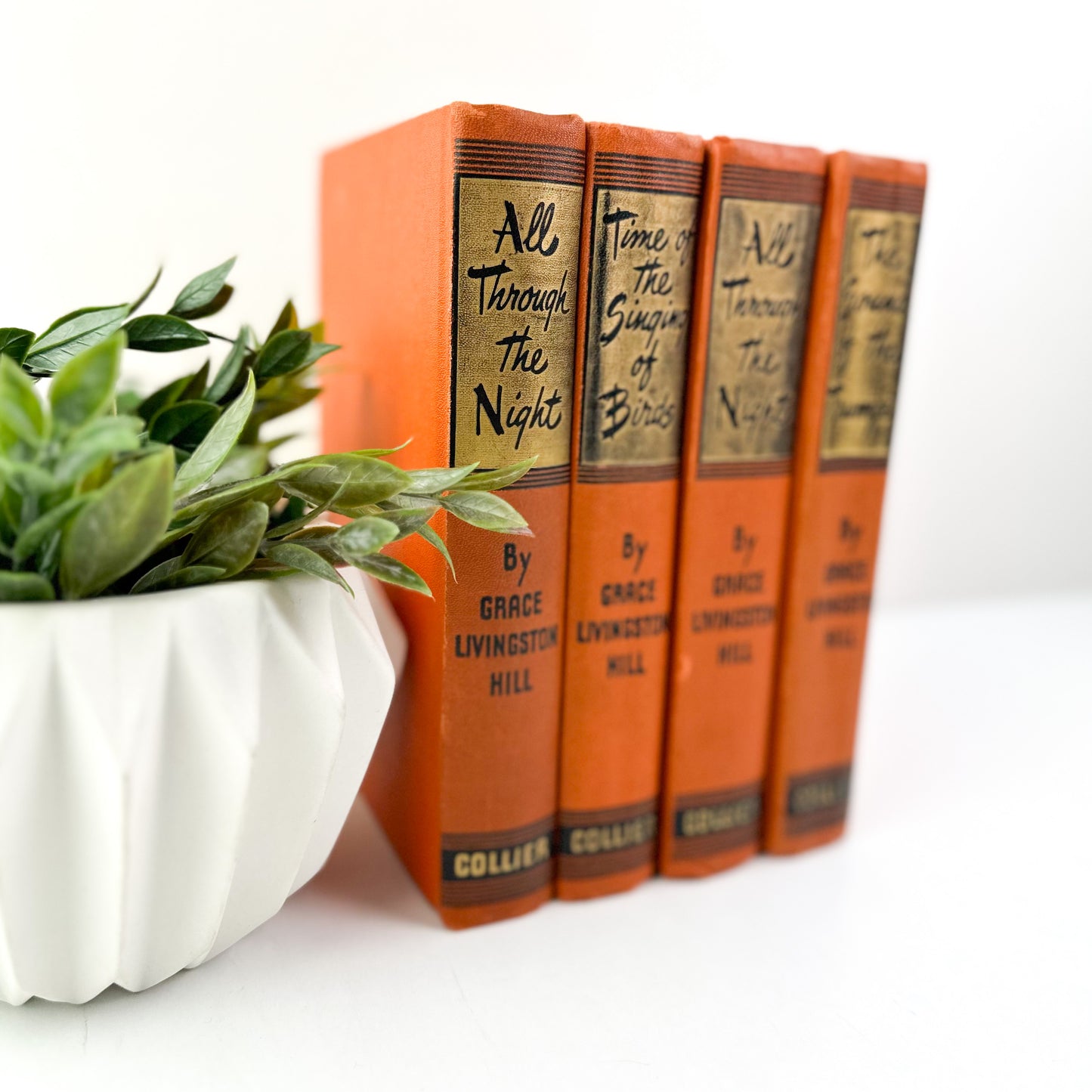Book Bundle