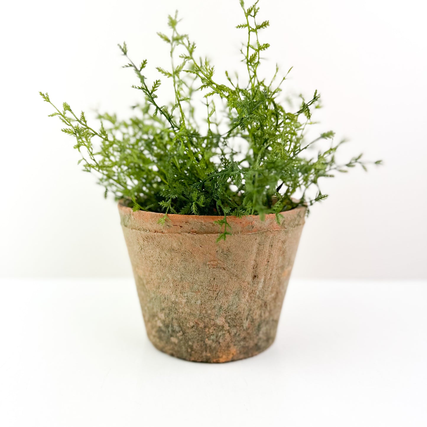 Distressed Terracotta Pot
