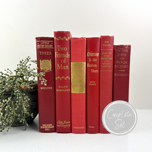 Red Shelf Accessories