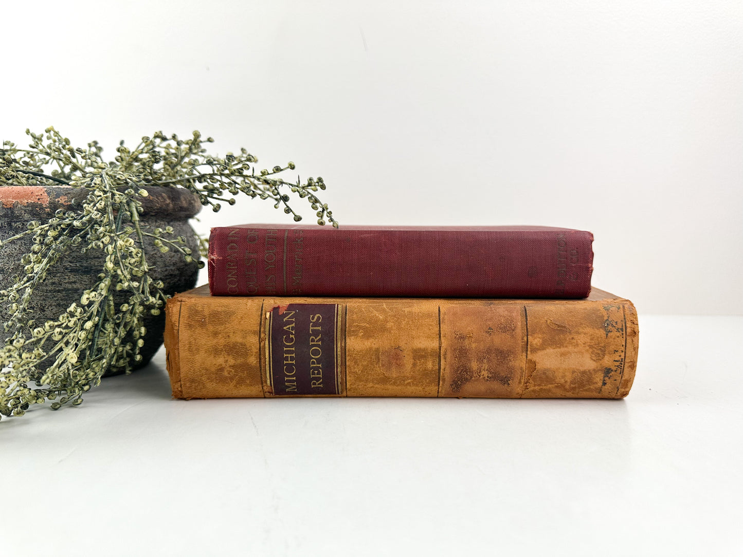 Red and Brown Rustic Book Set