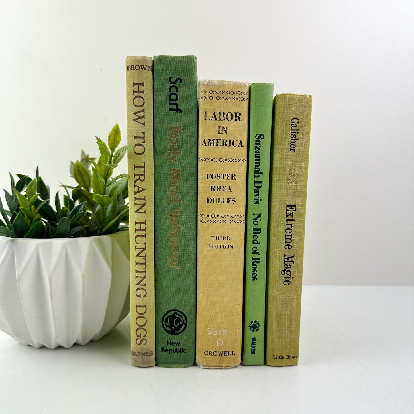 Green Vintage Books for Shelf Decor