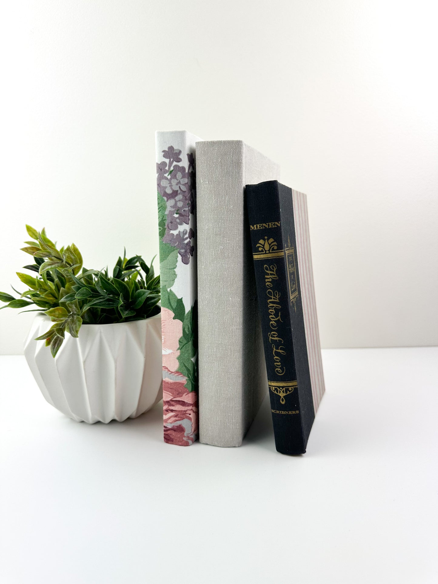 Decorative Book Set