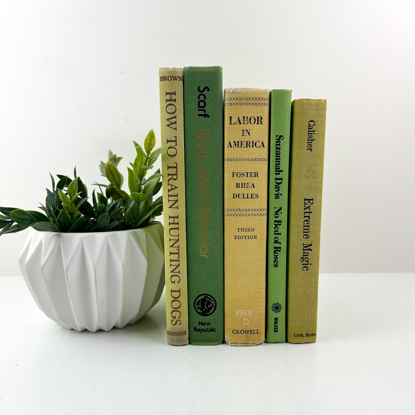 Green Vintage Books for Shelf Decor