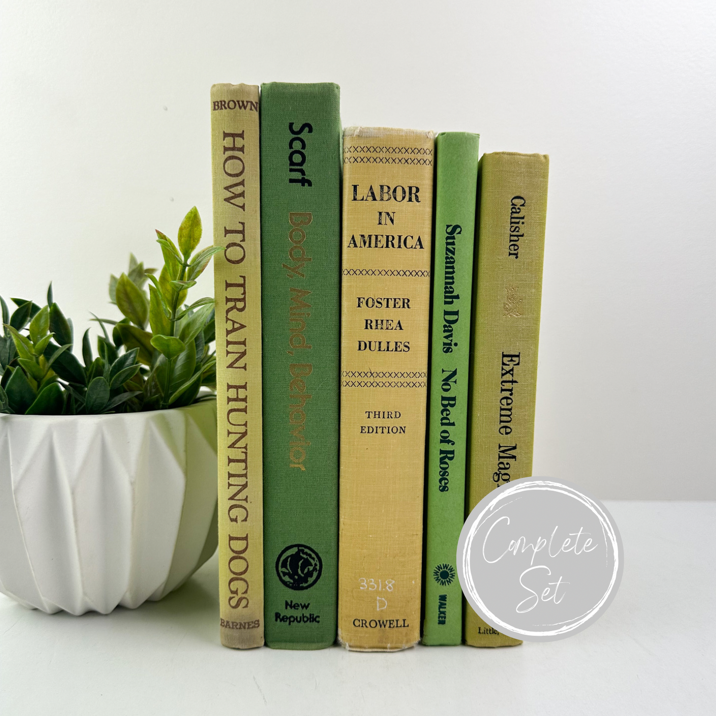 Green Vintage Books for Shelf Decor