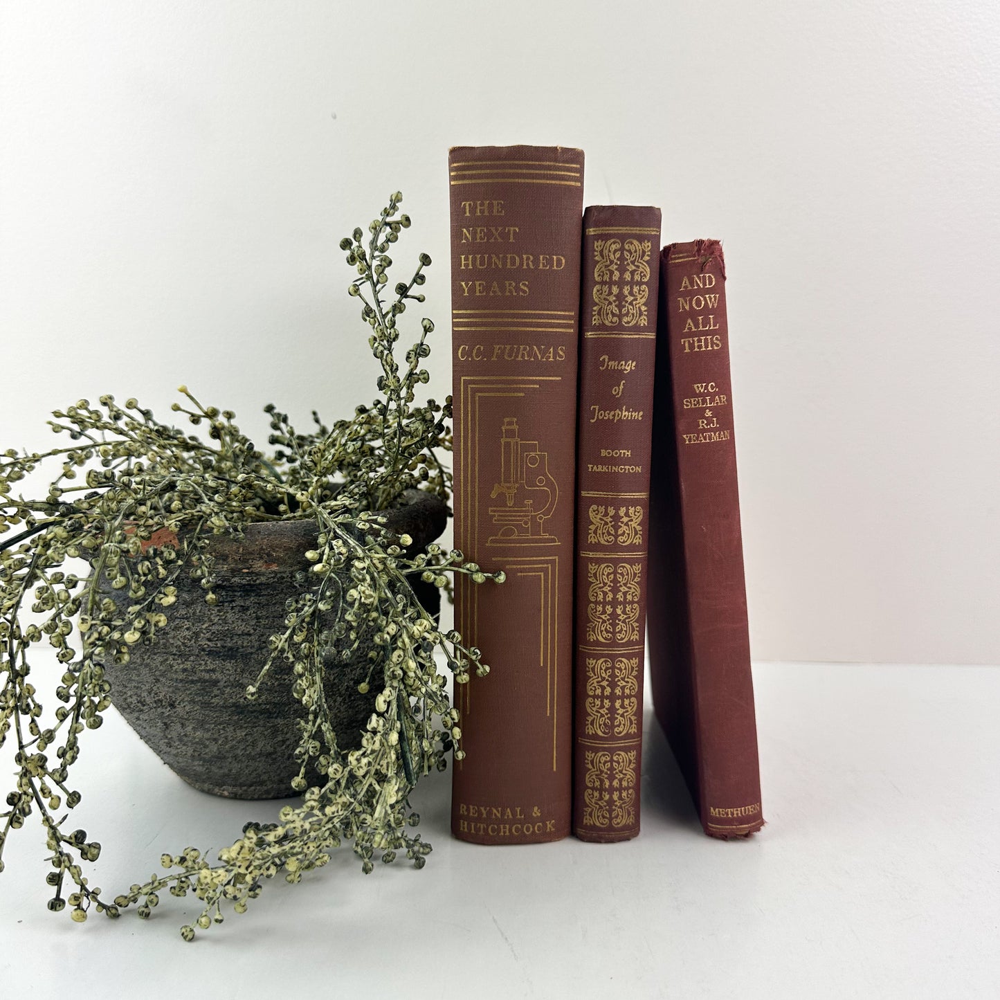 Classic Book Set for Home Staging