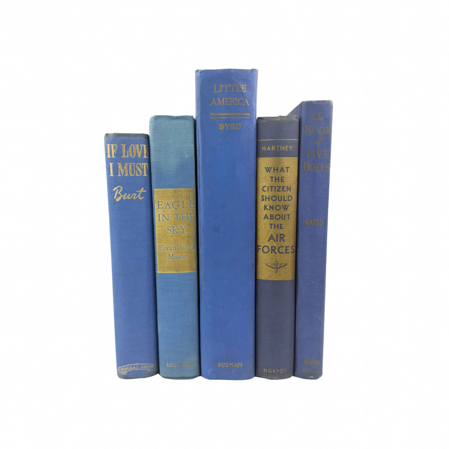 Blue Modern Home Decor