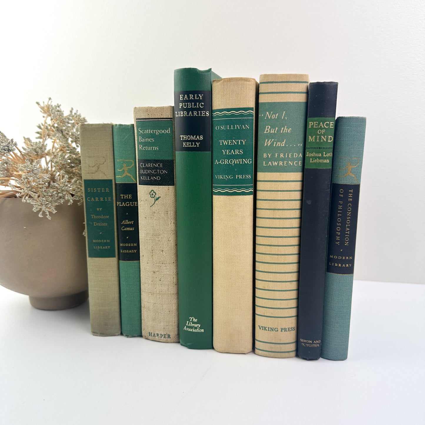 Decorative Book Set