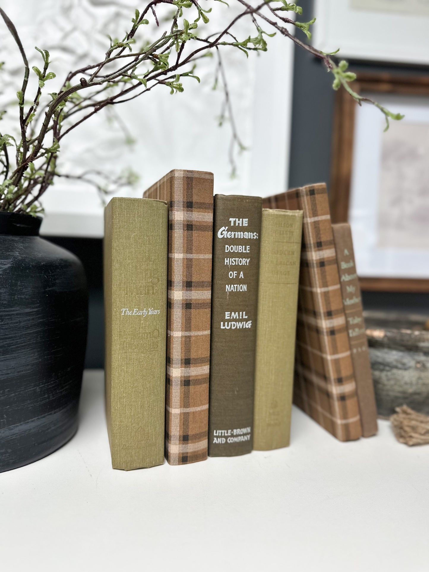 Decorative Book Set